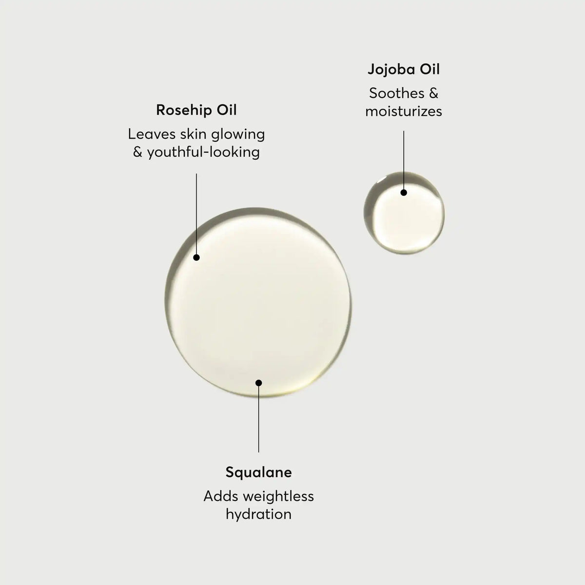 the-glow-getter-body-oil-m7 NATR-10115-Alt-Images-The-Glow-Getter-Body-Oil-01.webp