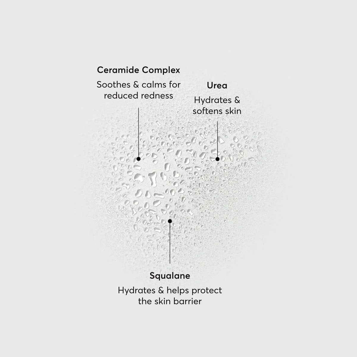barrier-bounce-bi-phase-mist-p7 NATR-10167-Alt-Images-Barrier-Bounce-Bi-Phase-Toner-Mist_01.webp